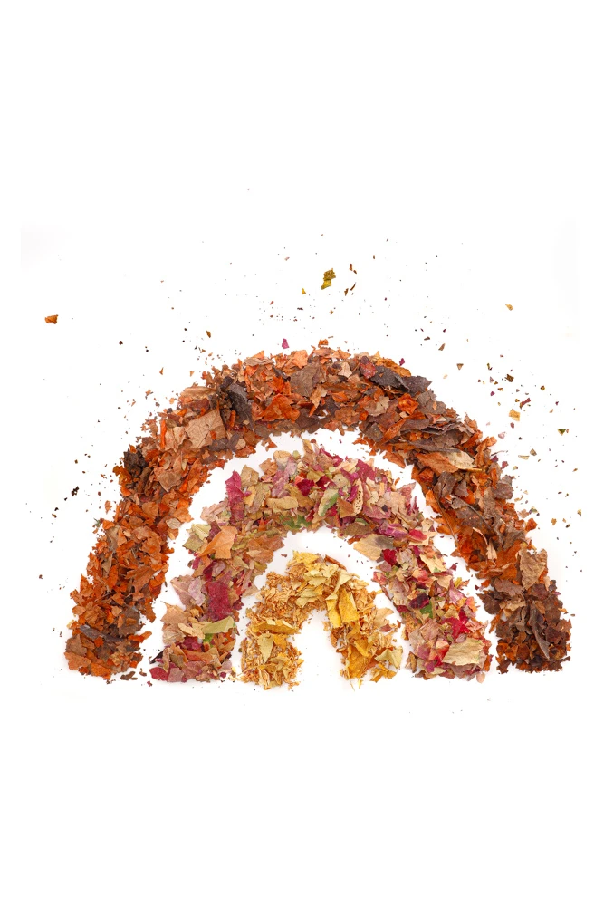 arcoíris de otoño