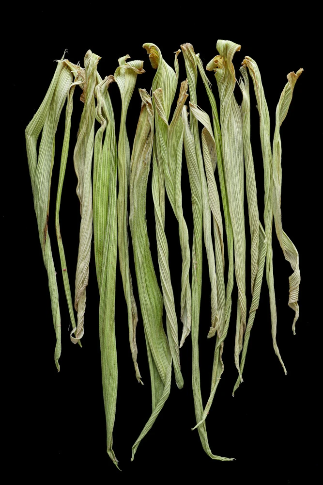 la ceguera de la rutina