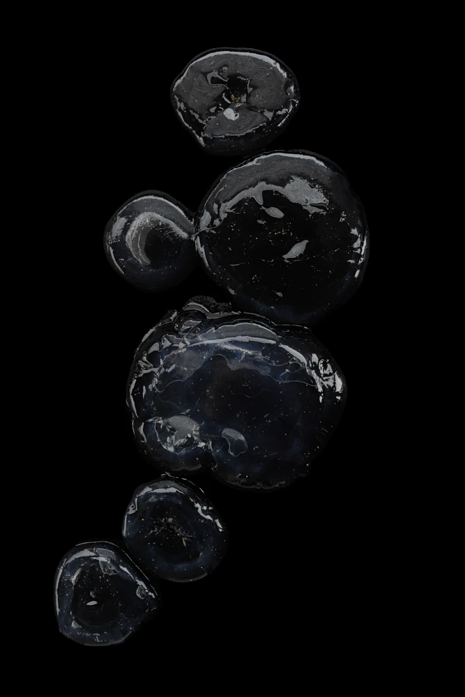 la forma del agua