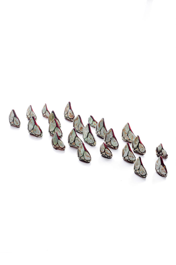 1256 percebes