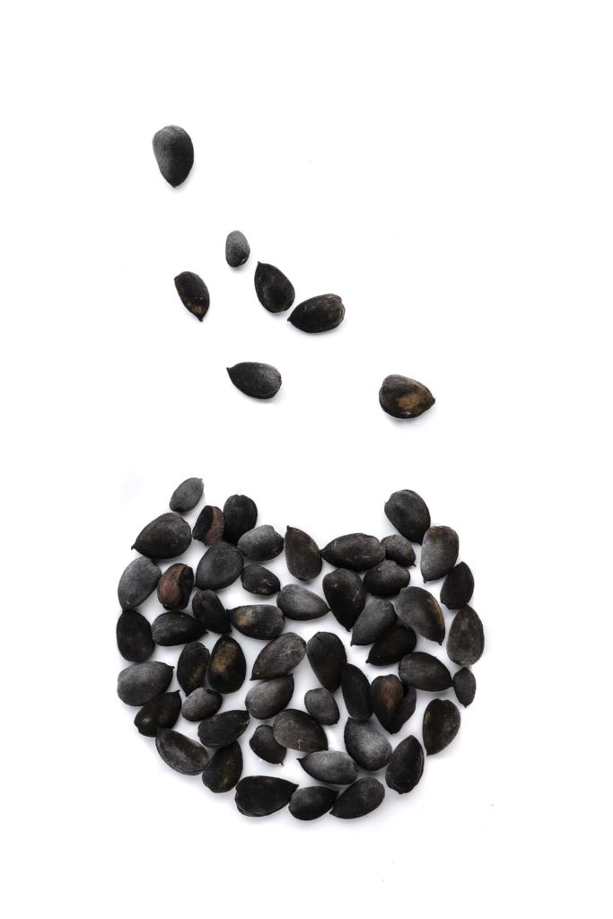 1344 almendras