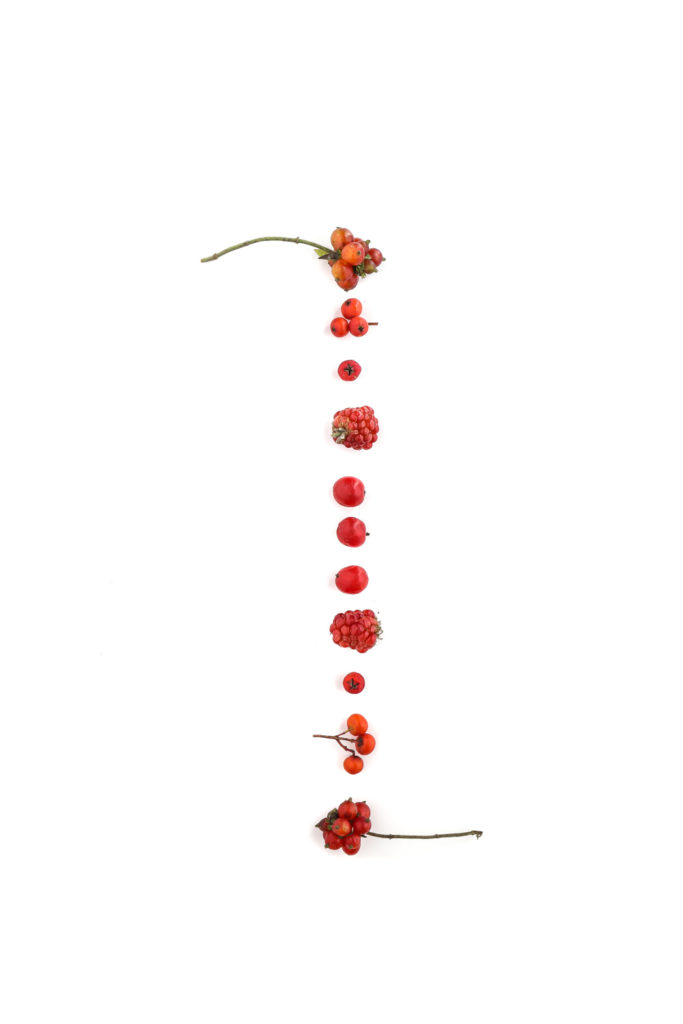 1590 frutos